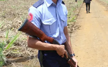 Coup de feu à Camp-Levieux : Une femme de 27 ans blessée par balle